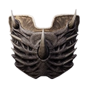 Icon dragonbone shield