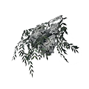 Icon dye ingredient grey-flower lupine