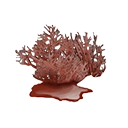 Icon dye ingredient phykos