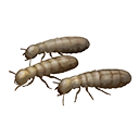 Icon handful of termites