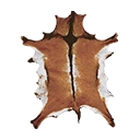 Icon hide-1
