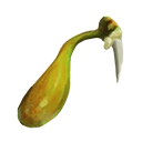 Icon locust venom gland