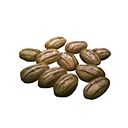 Icon seeds