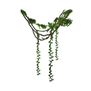 Icon vines