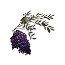 Icon dye ingredient false mandrake