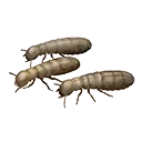 Icon handful of termites