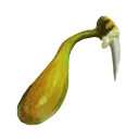 Icon locust venom gland