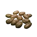 Icon seeds